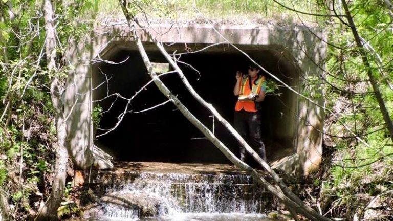 Environmental Impact Statements in Ottawa