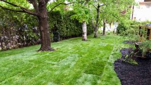 landscaping and gardening services