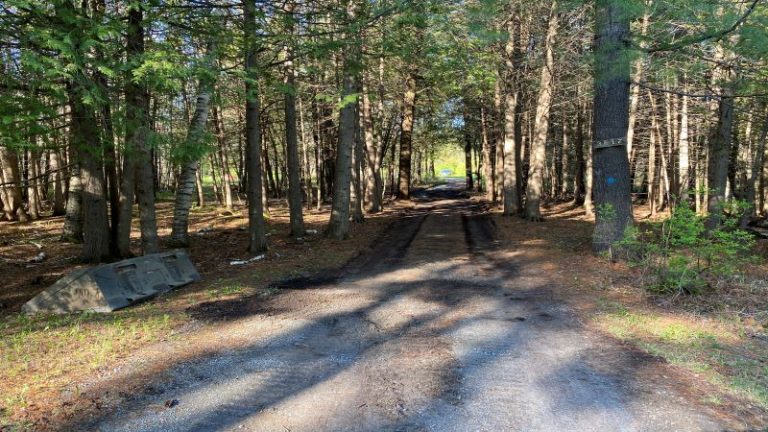 Driveway Rehabilitation in Dunrobin