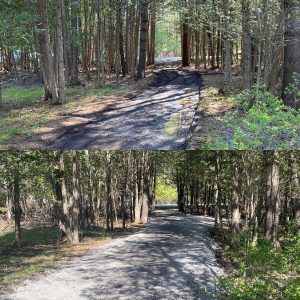 Dunrobin Gravel Driveway repair