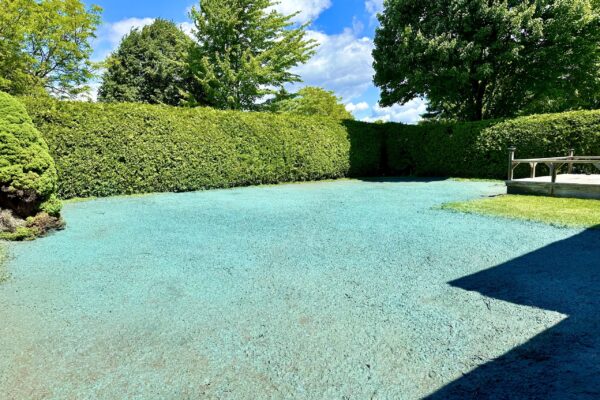 Hydroseed_IMG_1719