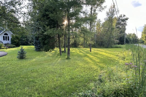 Land Clearing_IMG_1907