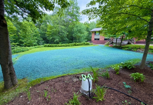 best-part-of-hydroseeding