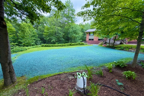 swimming-pool-removal-in-Ottawa